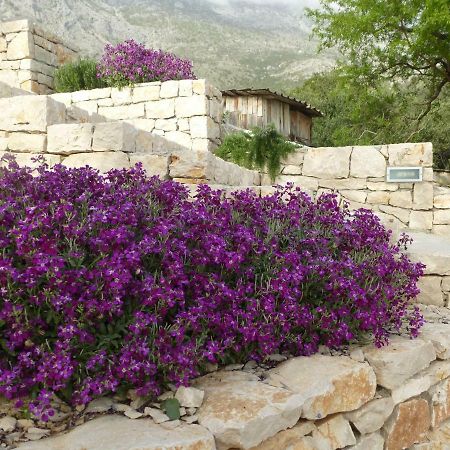 Вілла Kuca Za Odmor Viola Живогоще Екстер'єр фото